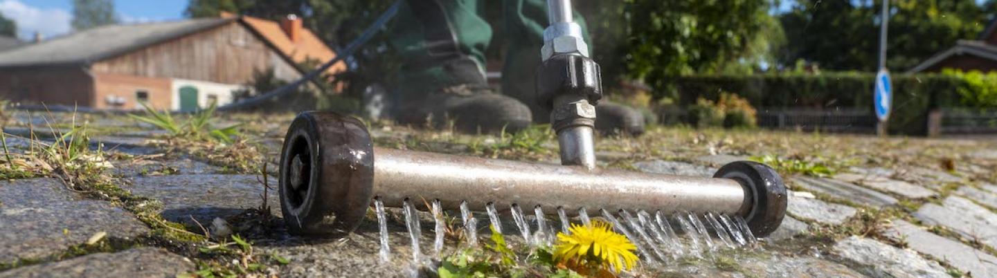 Removing weed in a sustainable manner with thermal weed control